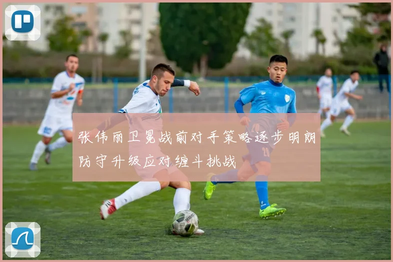 张伟丽卫冕战前对手策略逐步明朗防守升级应对缠斗挑战